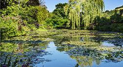 Evening Reflections